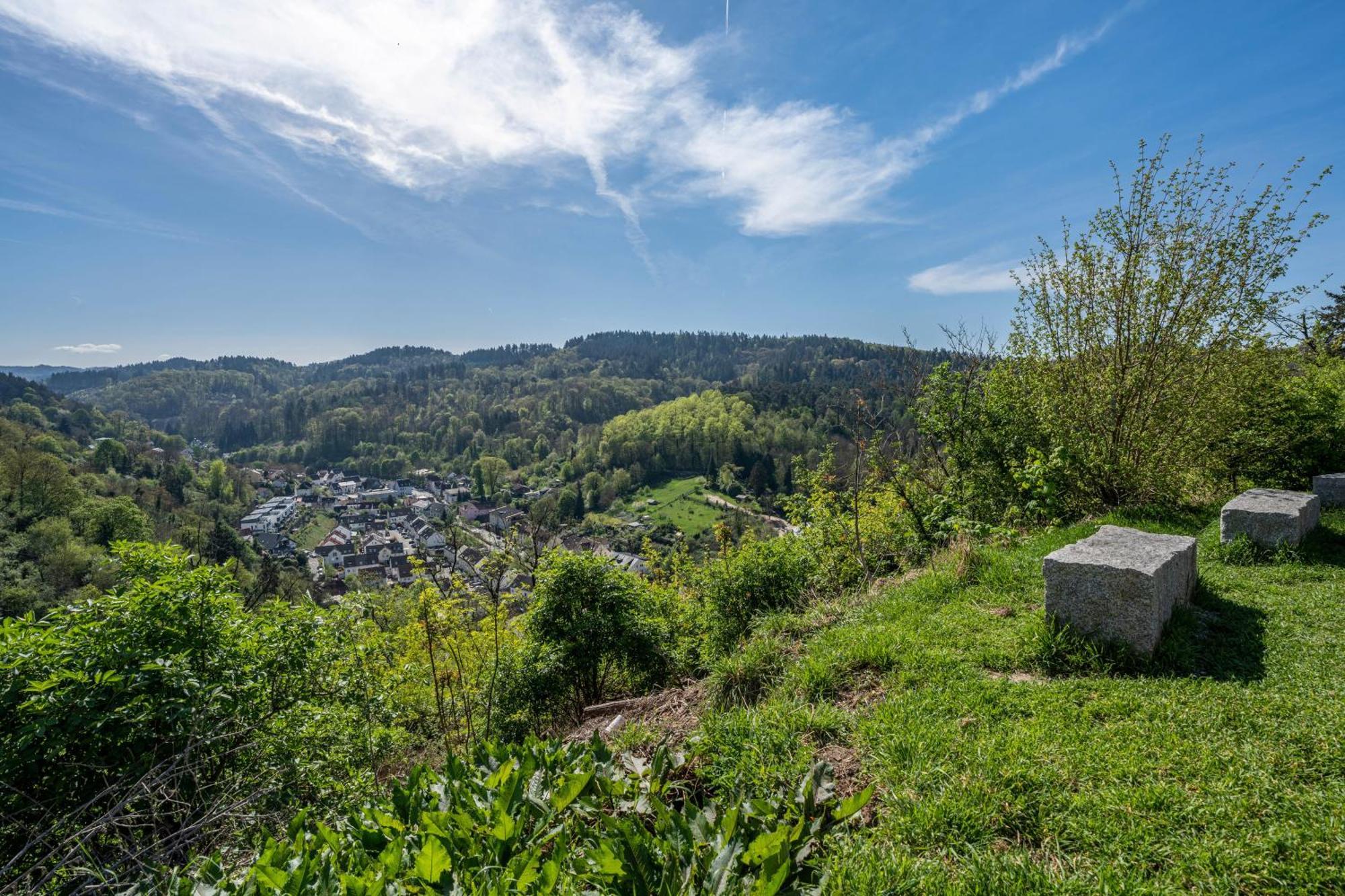Ferienwohnung Drachenstein ヴァインハイム エクステリア 写真