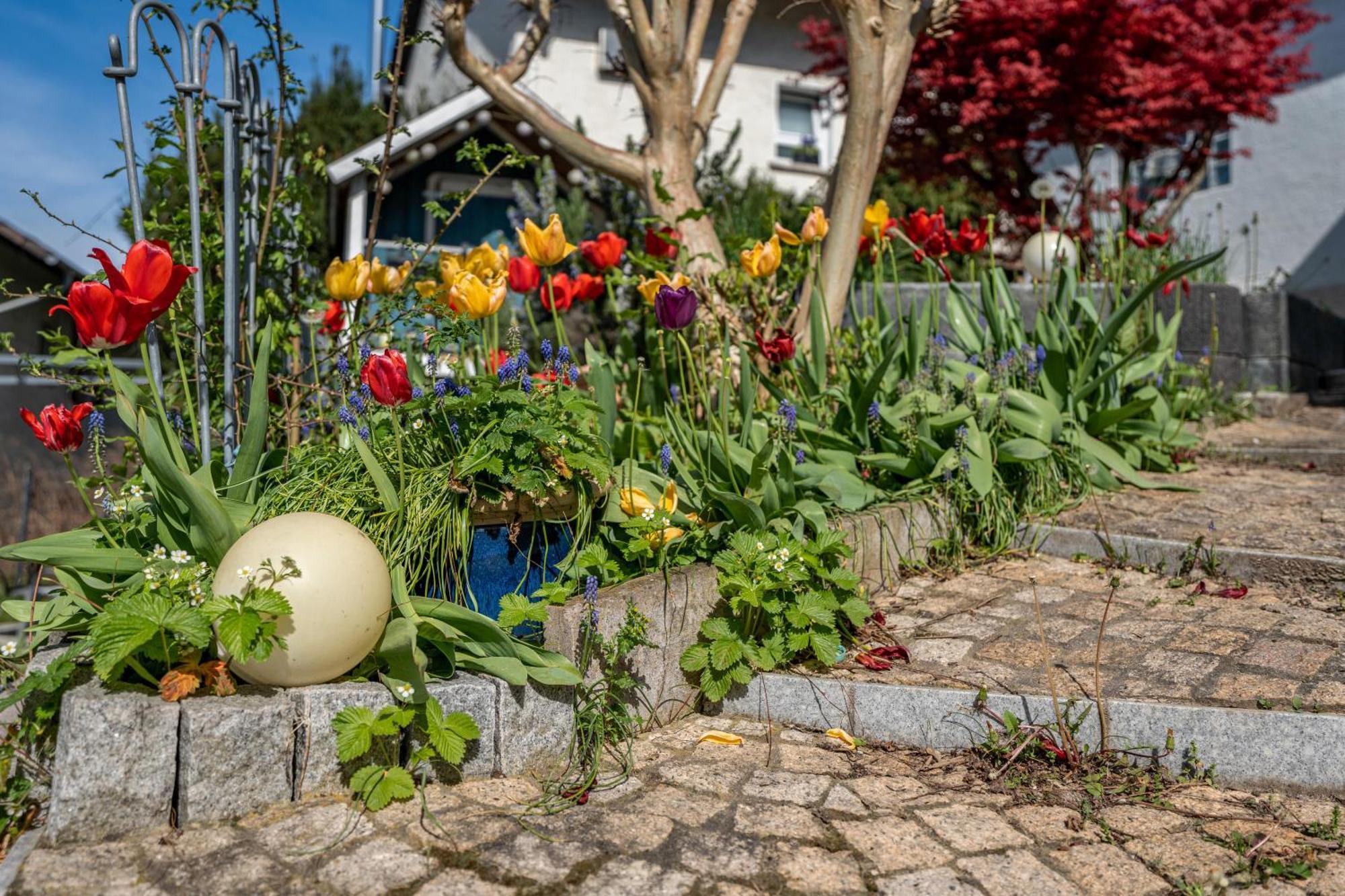 Ferienwohnung Drachenstein ヴァインハイム エクステリア 写真
